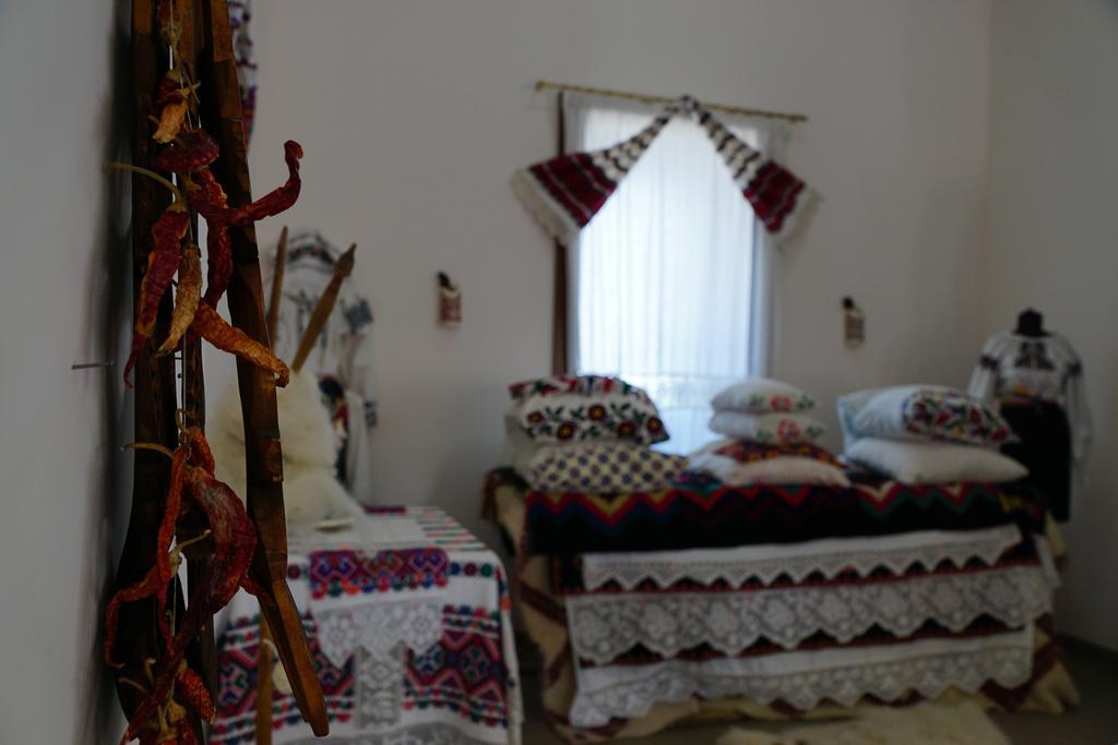 Pensiunea Casa Bunicului Mociu エクステリア 写真
